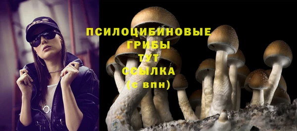 ПСИЛОЦИБИНОВЫЕ ГРИБЫ Инсар
