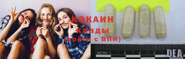 ПСИЛОЦИБИНОВЫЕ ГРИБЫ Инсар