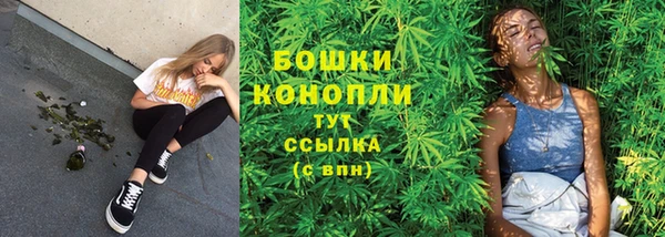 ПСИЛОЦИБИНОВЫЕ ГРИБЫ Инсар