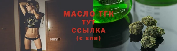ПСИЛОЦИБИНОВЫЕ ГРИБЫ Инсар