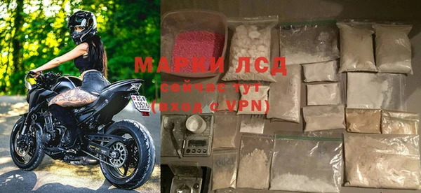 ПСИЛОЦИБИНОВЫЕ ГРИБЫ Инсар