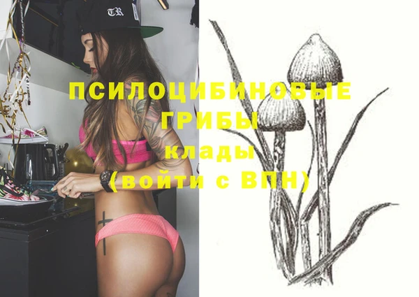 кристаллы Инта