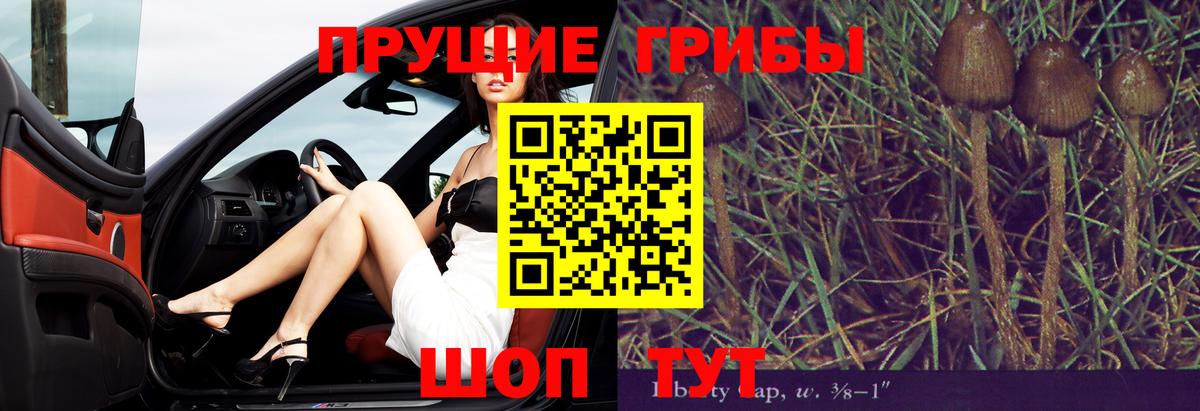 Псилоцибиновые грибы Magic Shrooms  Вход с VPN  Родники 